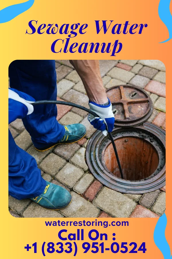 Sewage Water Cleanup in Gumlog, GA